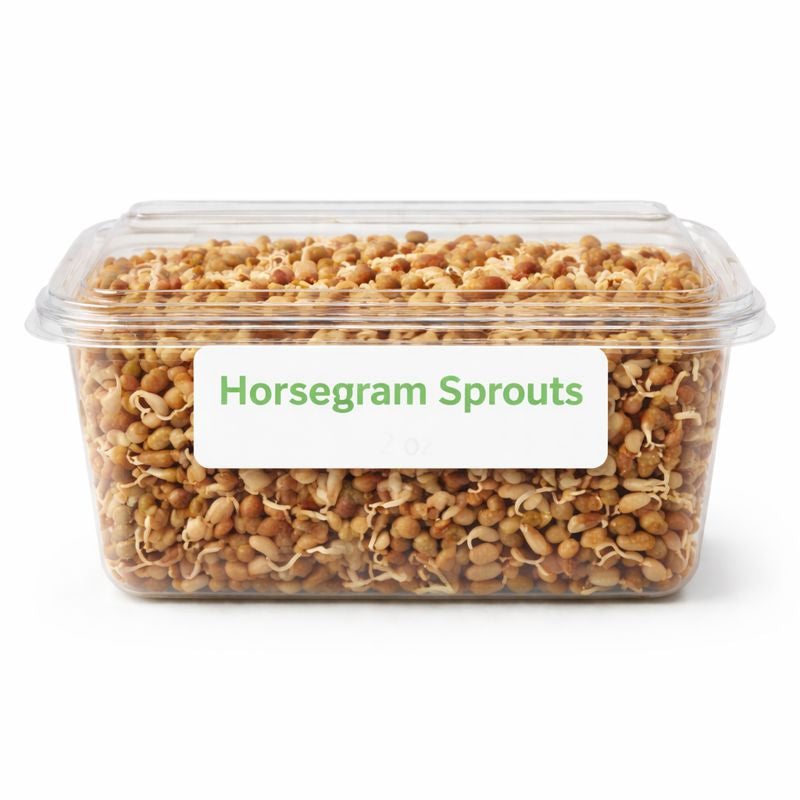 Horse Gram Sprouts
