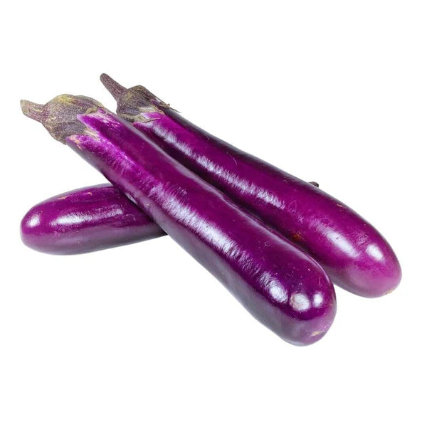 CHINESE EGG PLANT