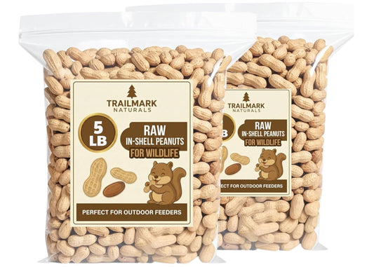 RAW PEANUT