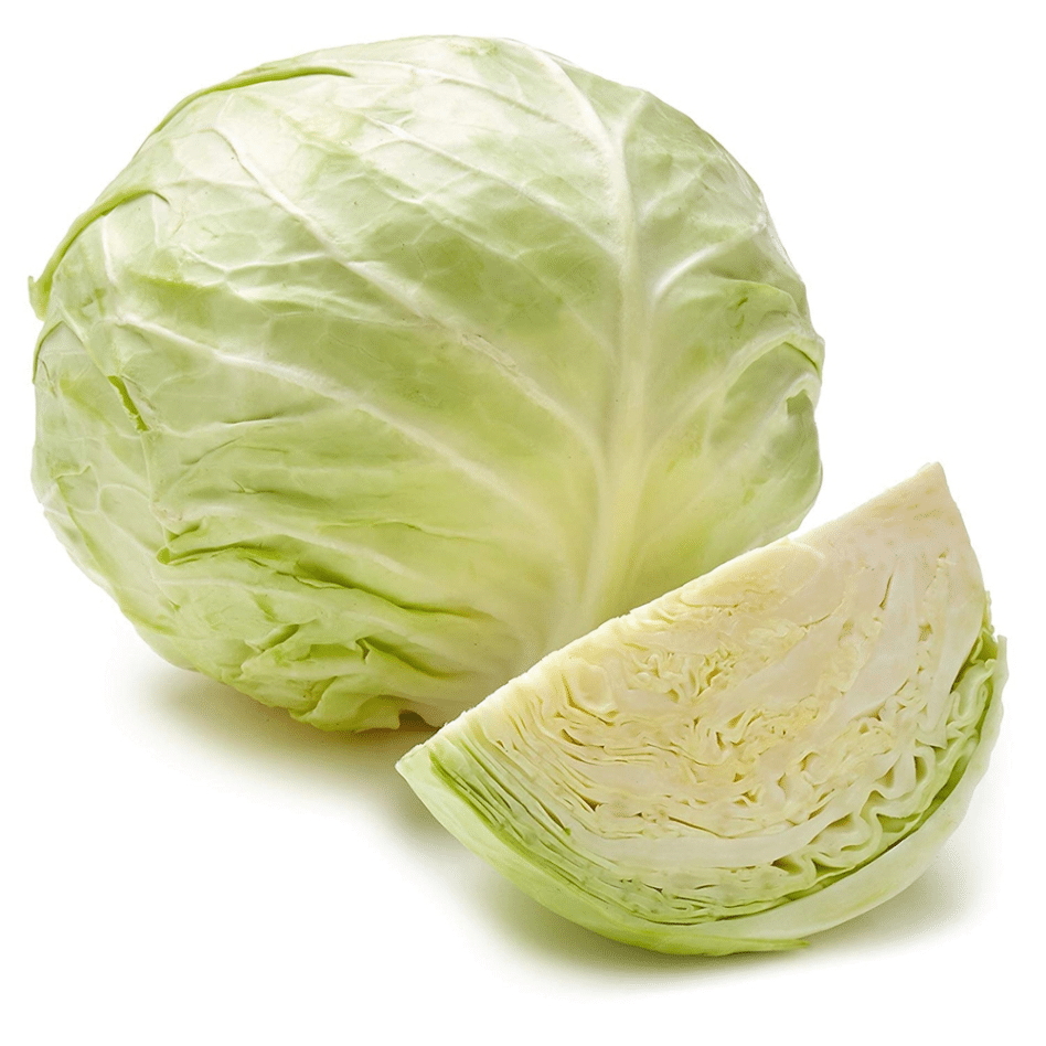 CABBAGE