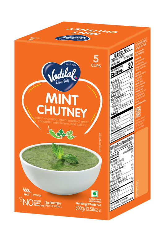 VADILAL MINT CHUTNEY - 300GM