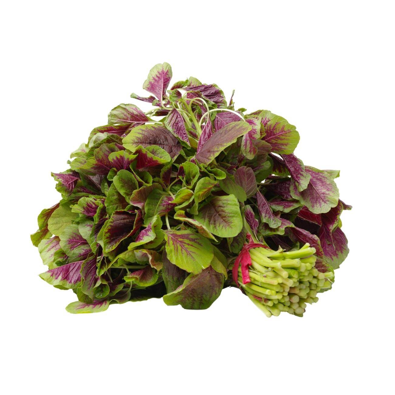 AMARANTH LEAVES(RED)