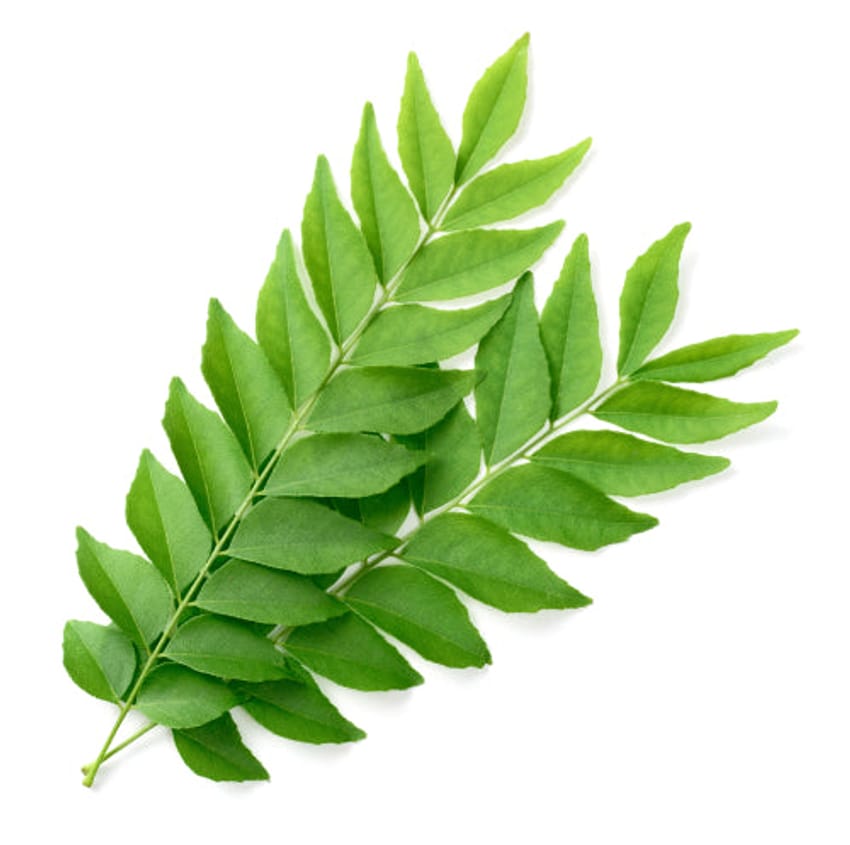 Curry Leaves