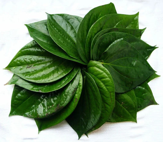 Pan Leaves