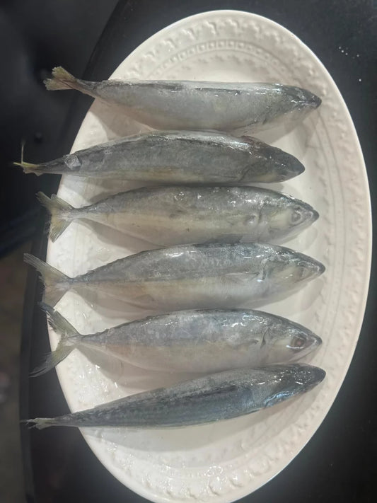 T.E Indian Mackerel Whole - 2 LB