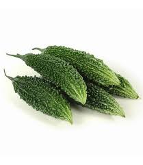 INDIAN KARELA