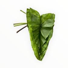 PATRA LEAVES