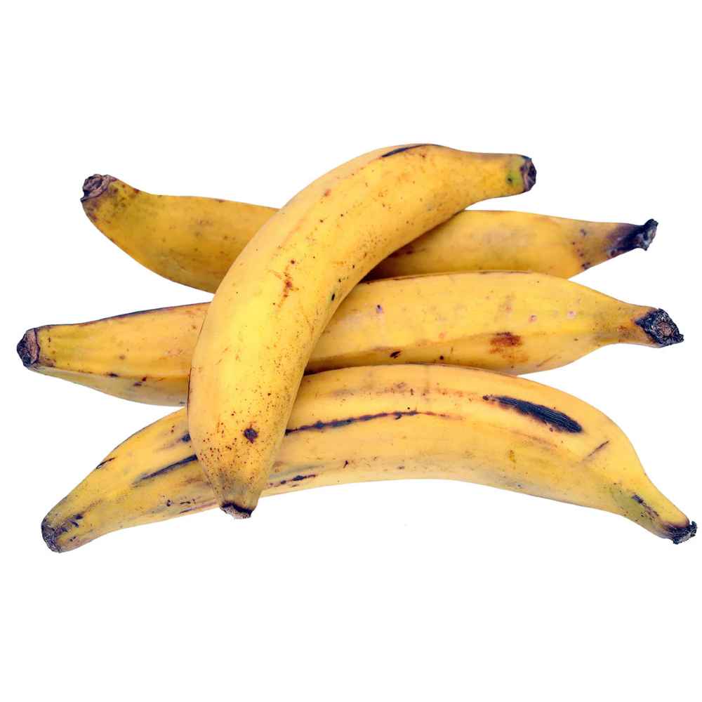 PLANTAIN